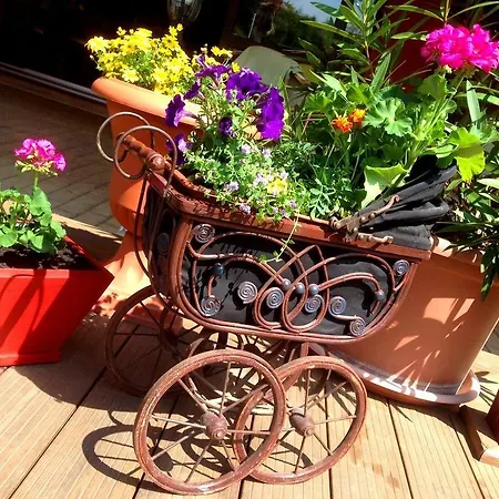 לינה וארוחת בוקר Ambrozia Etterem Es Panzio 4*