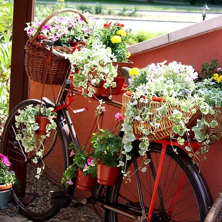 Ambrozia Etterem Es Panzio קזינצברציקה