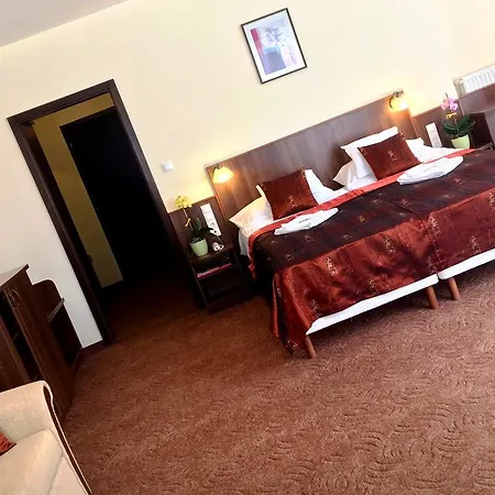 Ambrozia Etterem Es Panzio לינה וארוחת בוקר 4*