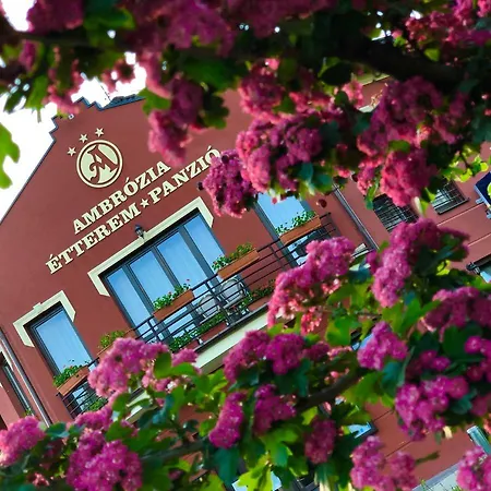 Ambrozia Etterem Es Panzio לינה וארוחת בוקר 4*