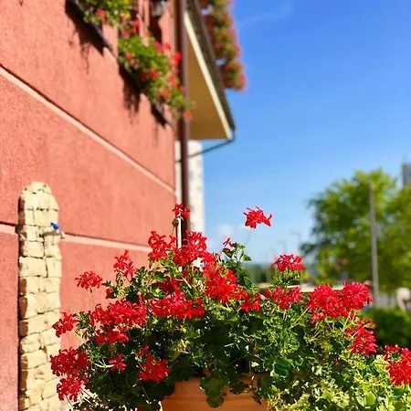 Ambrozia Etterem Es Panzio לינה וארוחת בוקר קזינצברציקה