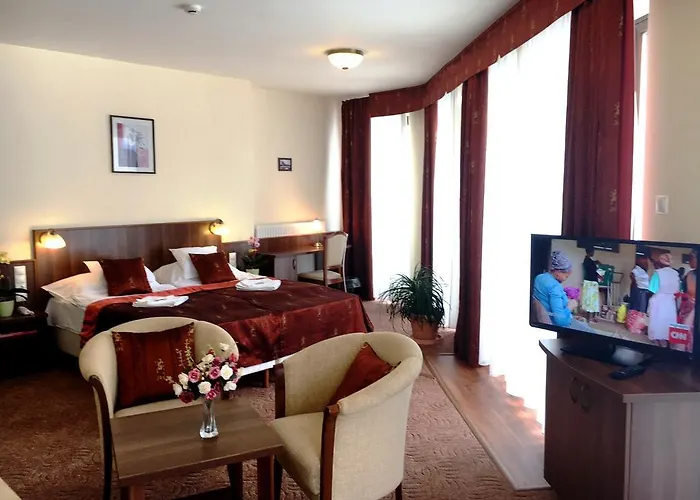 فندق مبيت وإفطار Ambrozia Etterem Es Panzio 4*