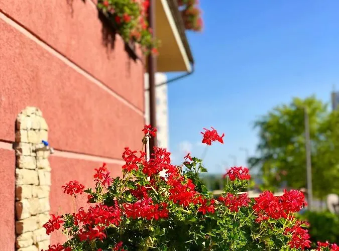 Ambrozia Etterem Es Panzio فندق مبيت وإفطار كزينكبرسكا